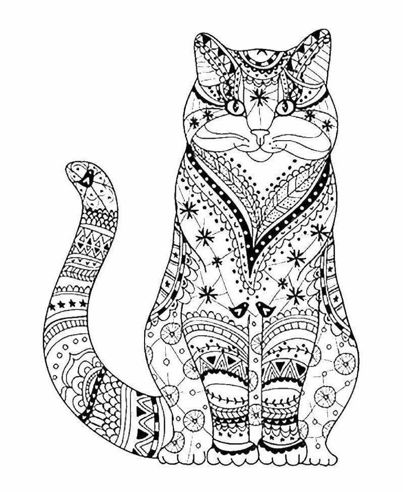 раскраска кошка
