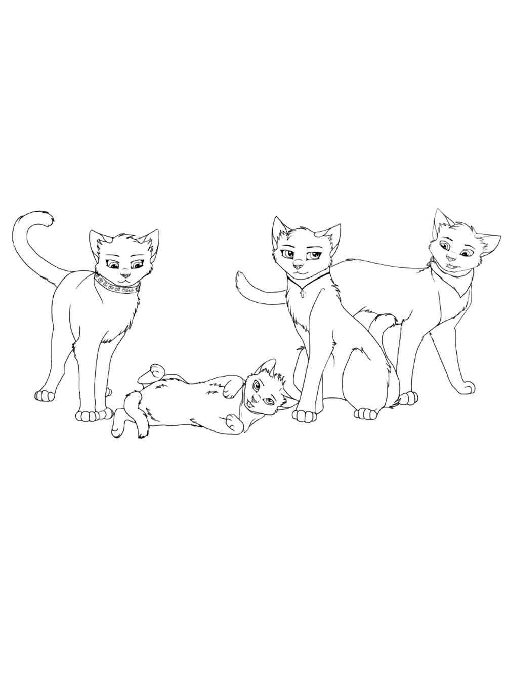 Раскраска коты воители для детей 2