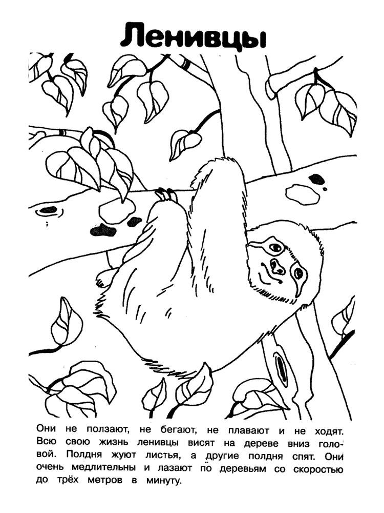 Раскраска Красная книга