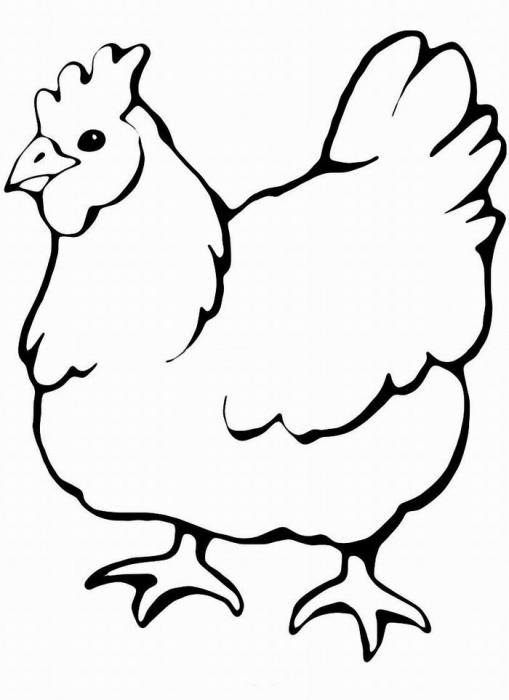 Раскраска курица 2