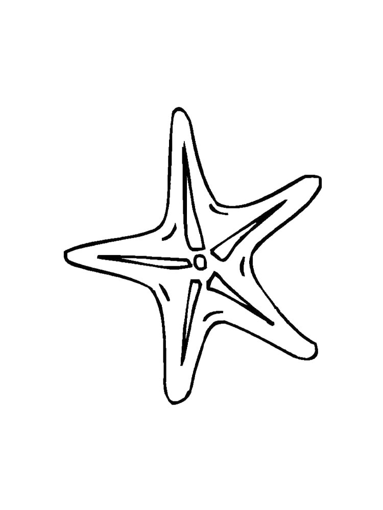 Раскраска морская звезда 4