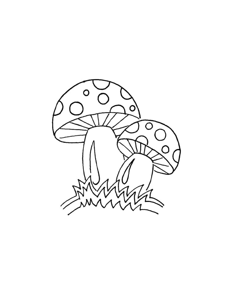 Раскраска мухомор 2 2
