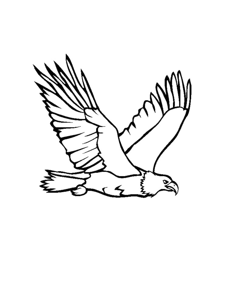 Раскраска орел 5