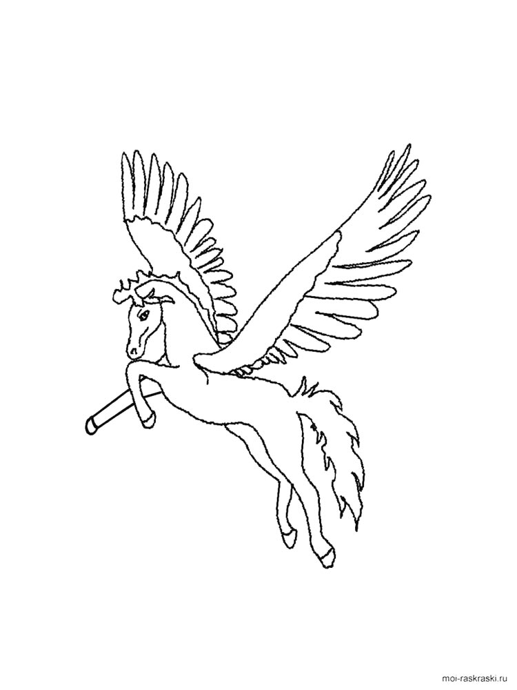 Раскраска Пегас 2