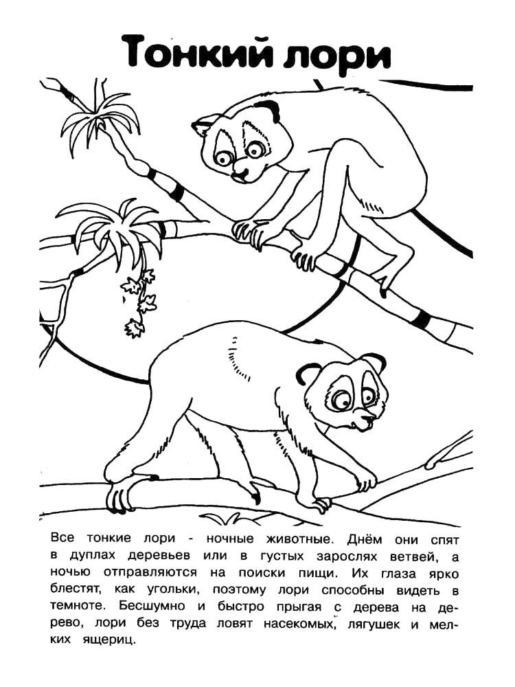 Раскраска раскраски красная книга 2