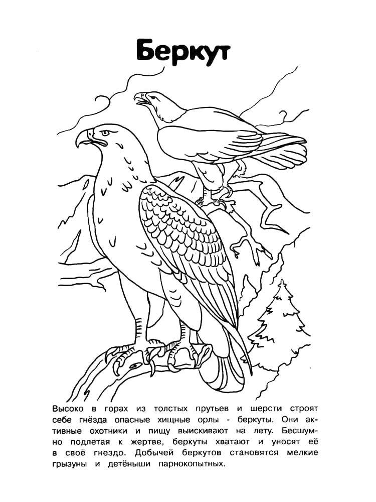 Раскраска раскраски красная книга для детей 2