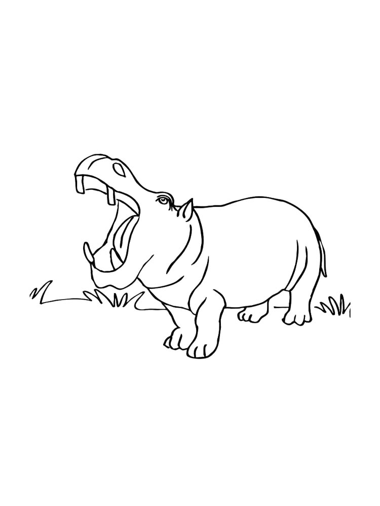 Раскраска раскраски животные африки 2