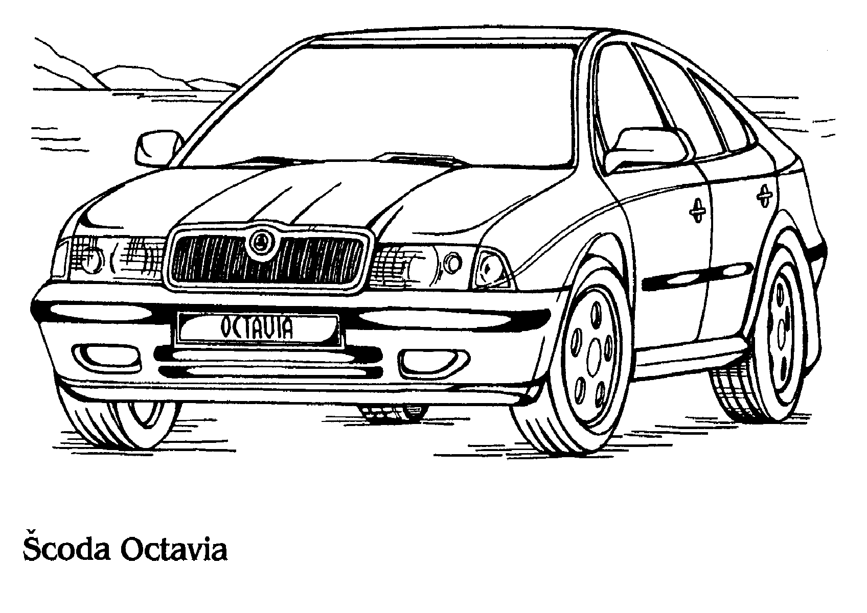 раскраска шкода