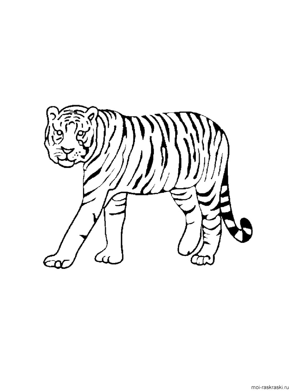 Раскраска тигр 2 4