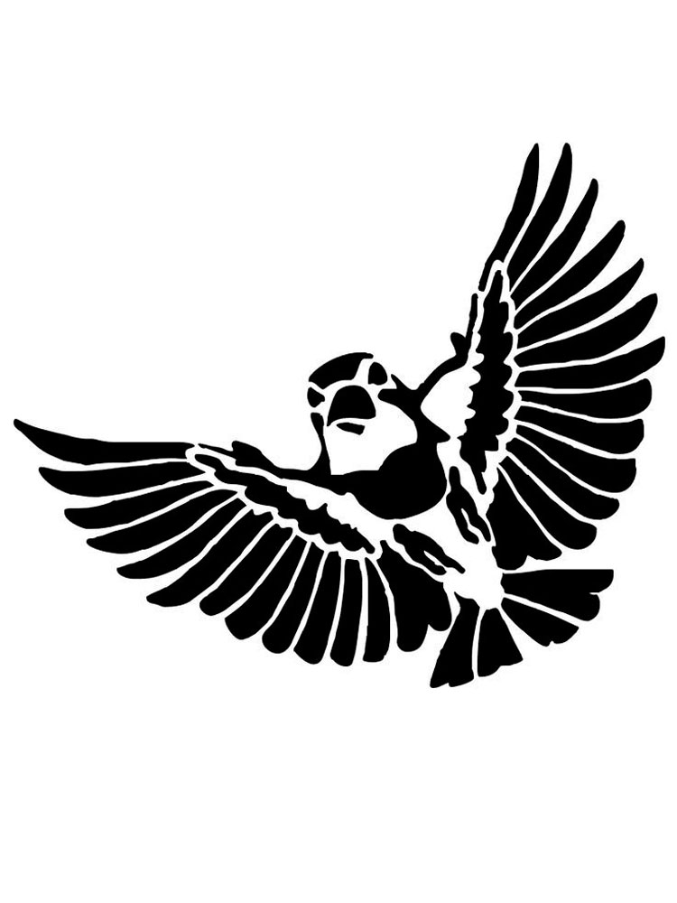 Раскраска трафареты птиц для детей