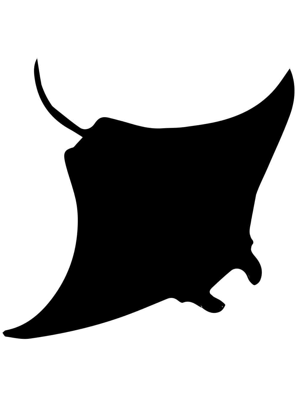 Раскраска трафареты ската