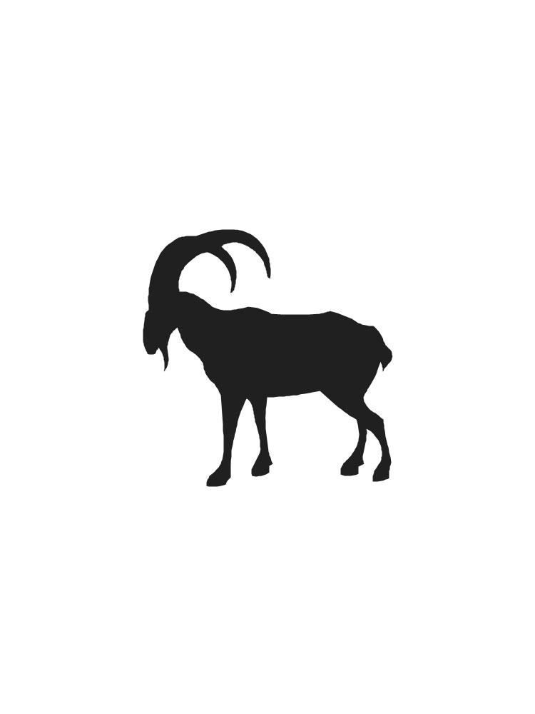 Раскраска трафареты животных для детей 3