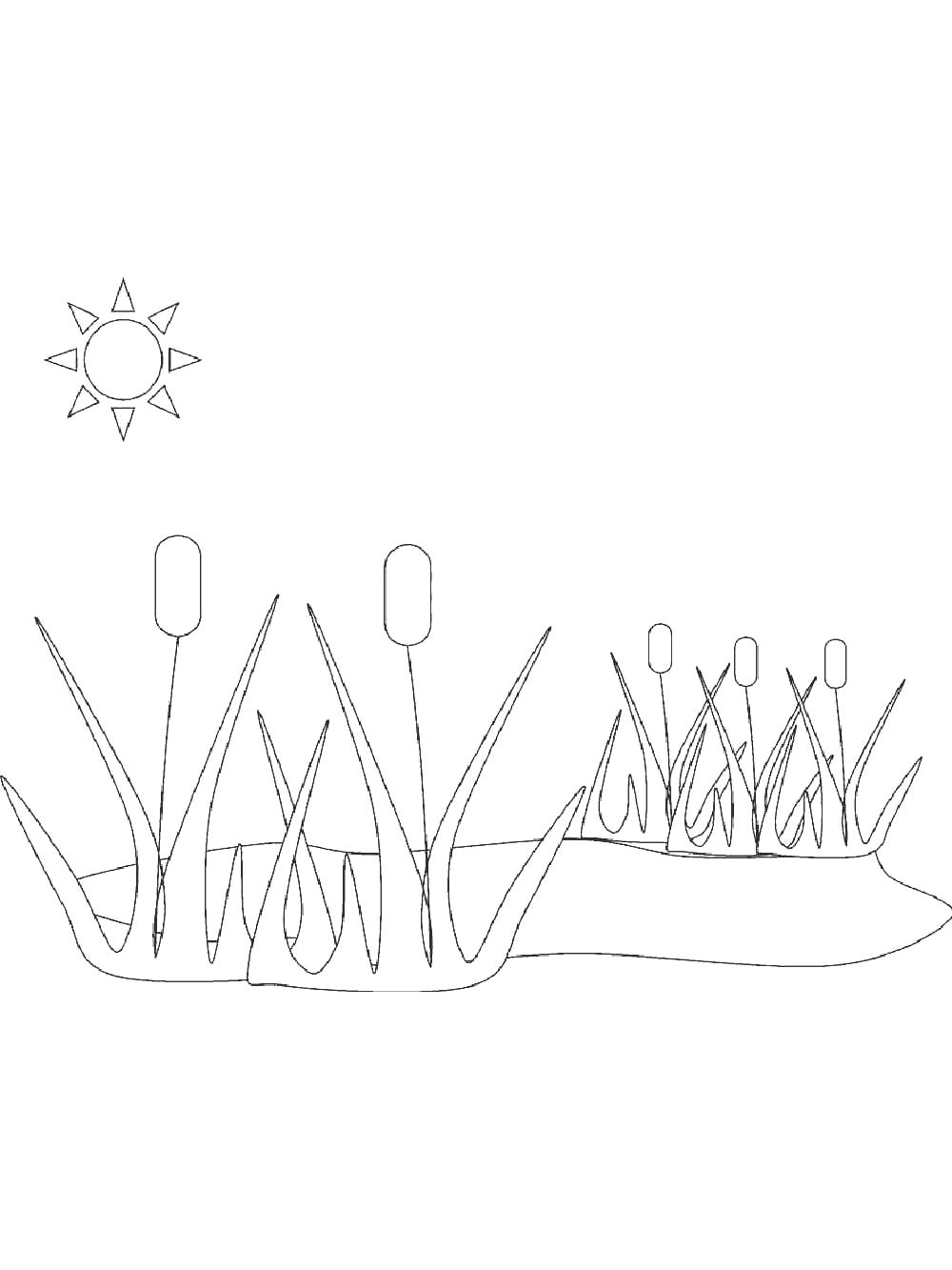 Раскраски камыш для раскрашивания 2