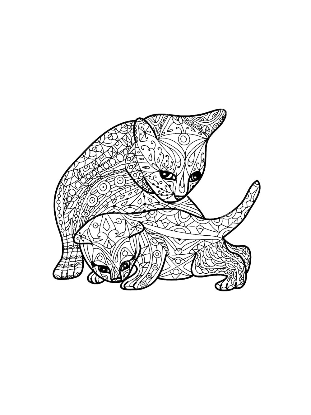 Раскраски котята антистресс для раскрашивания 2