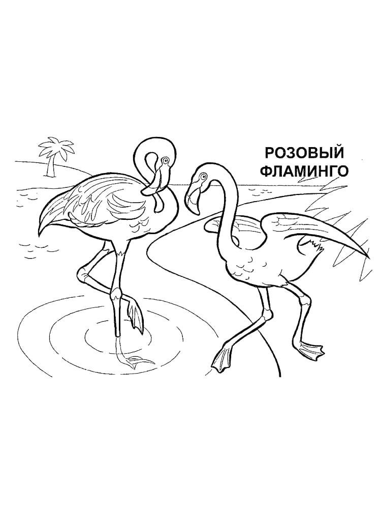 Раскраски красная книга картинка для раскрашивания 2