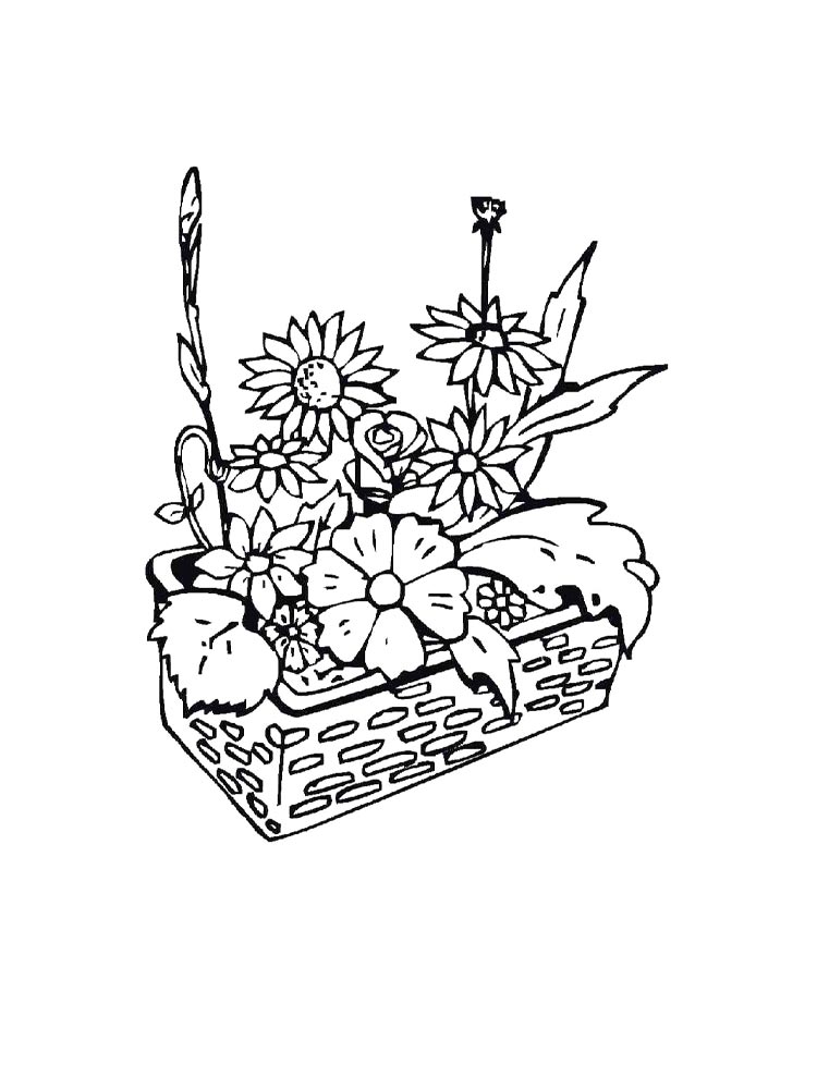 Раскраски растения рисунок для раскрашивания 3