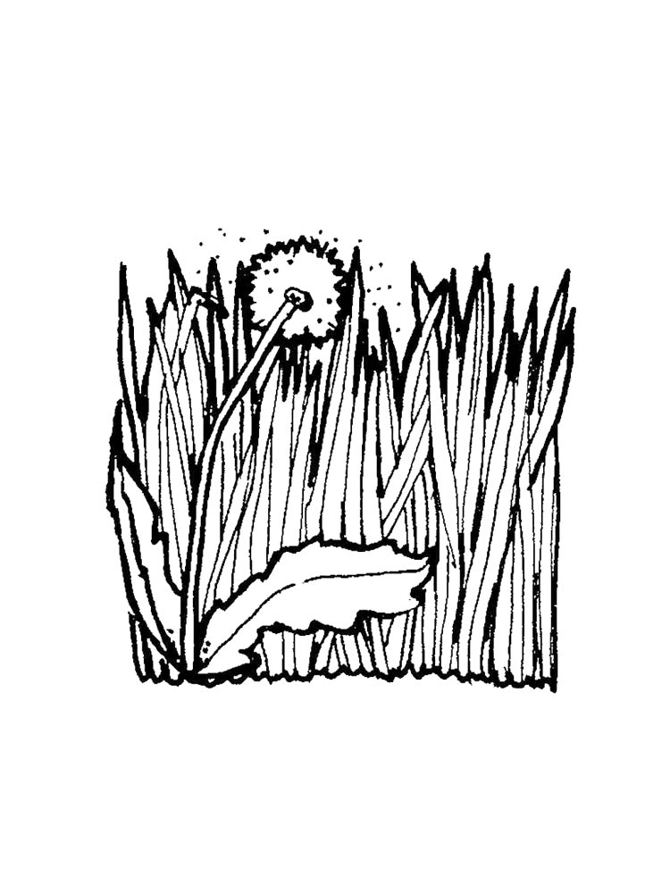 Раскраски трава для раскрашивания 2