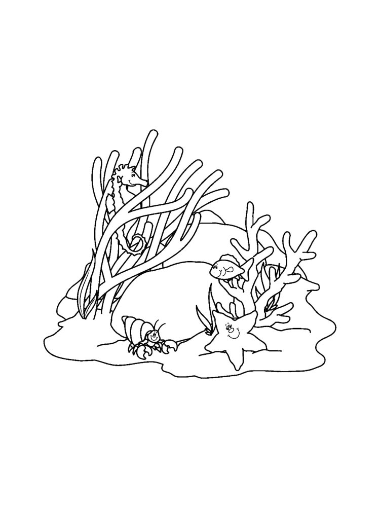 Раскраски водоросли для раскрашивания
