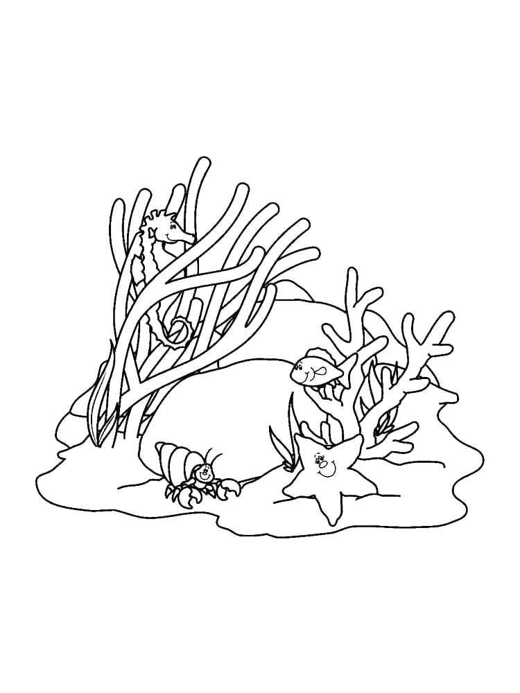 Распечатать раскраску раскраски коралл