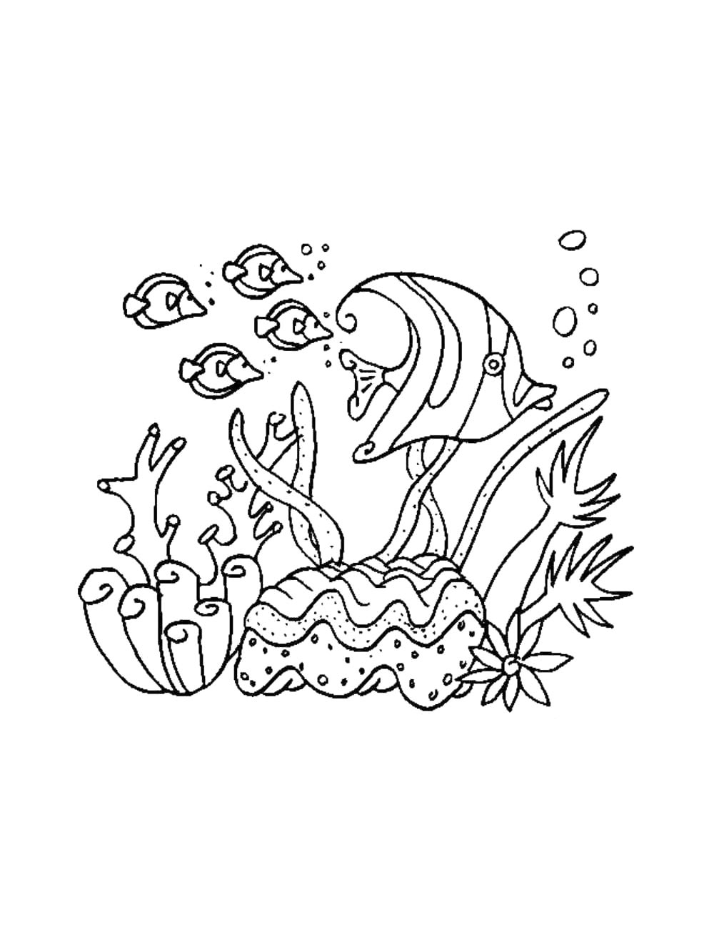 Распечатать раскраску раскраски водоросли 2