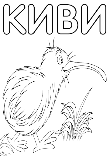 Рисунок птица киви