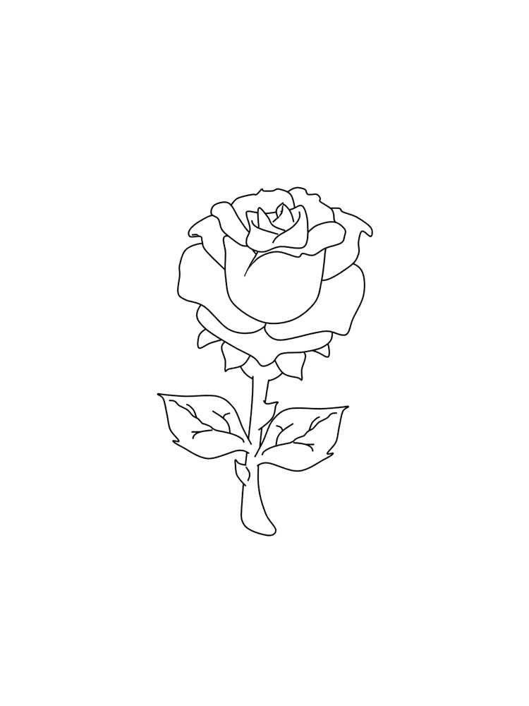 Роза черно-белая раскраска 3