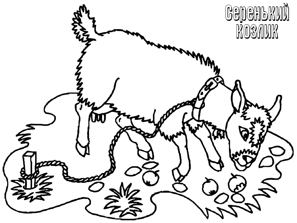 Серый козлик