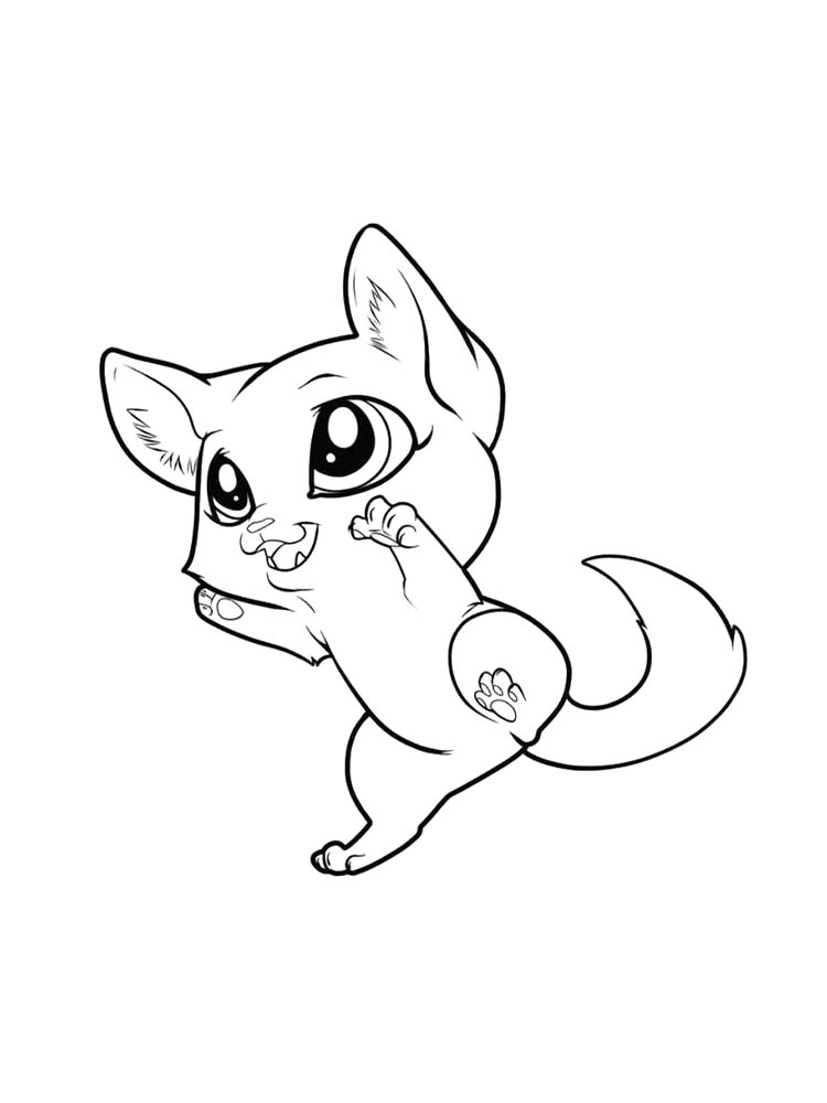 Смешная кошечка