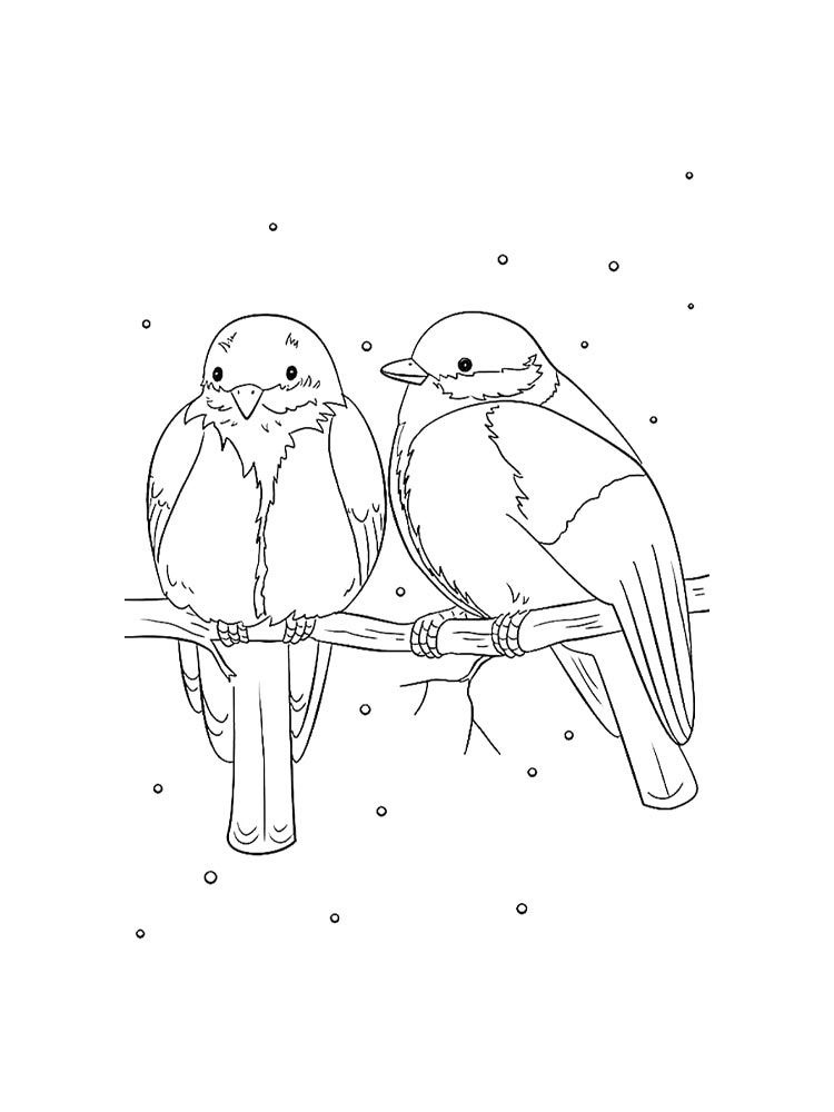 Снегирь рисунок для раскрашивания