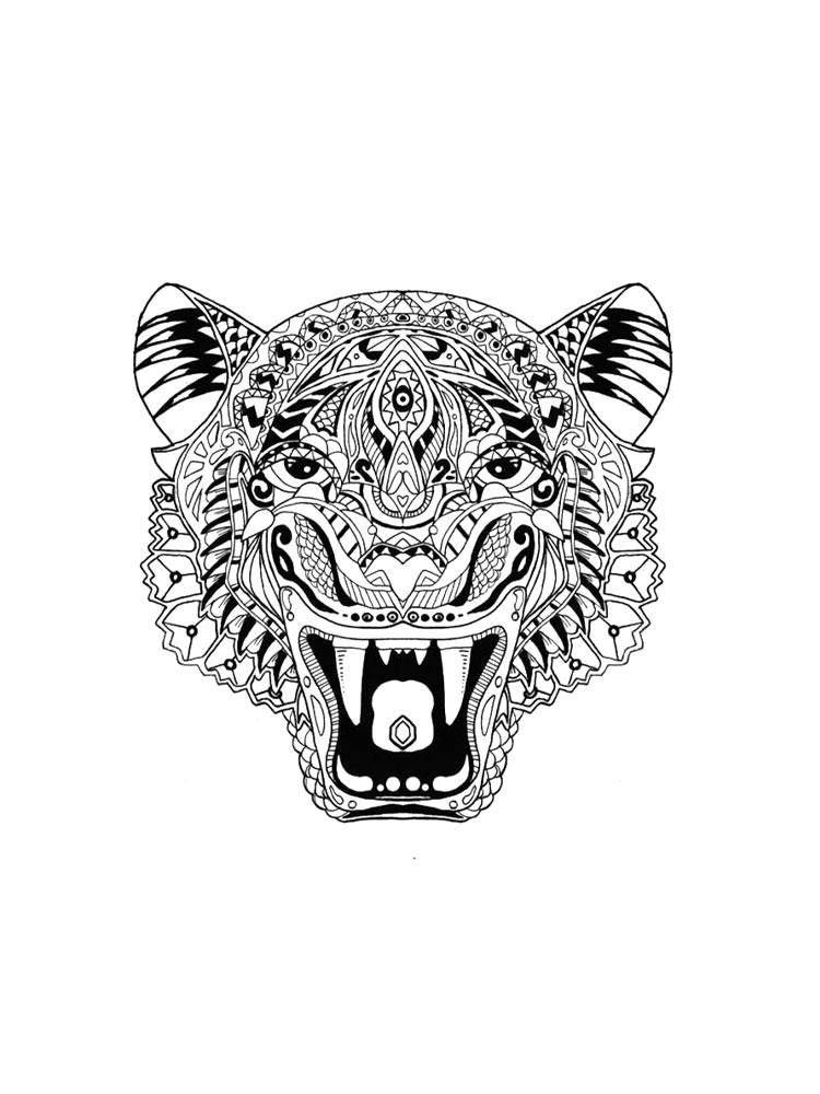 Тигр рисунок для раскрашивания 8