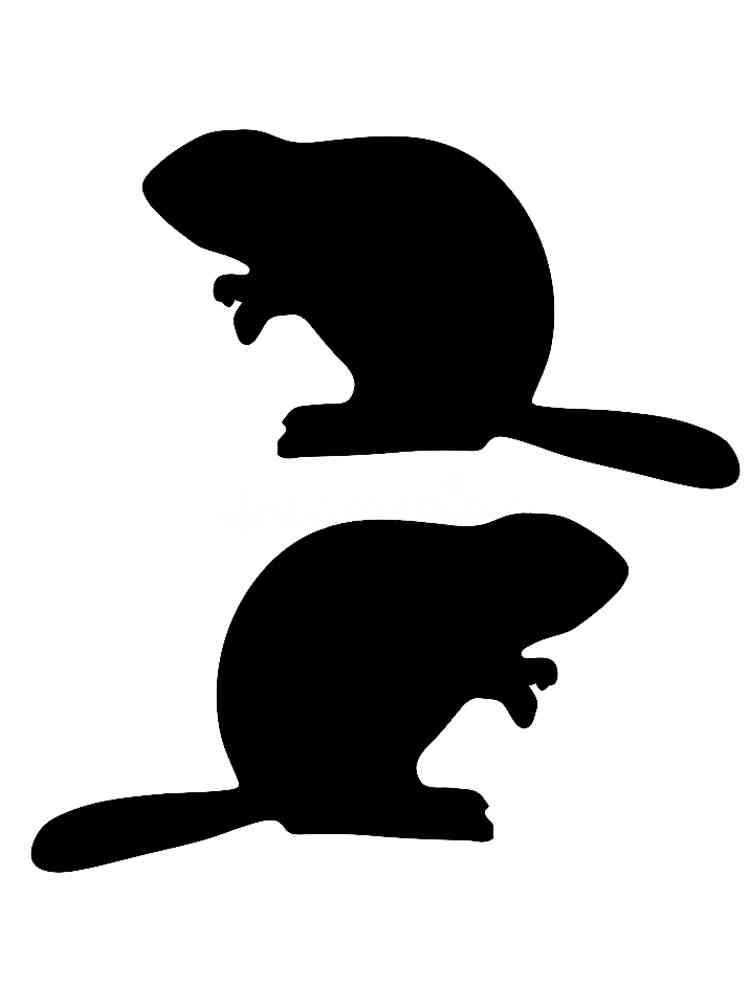 Трафареты бобра раскраска для детей