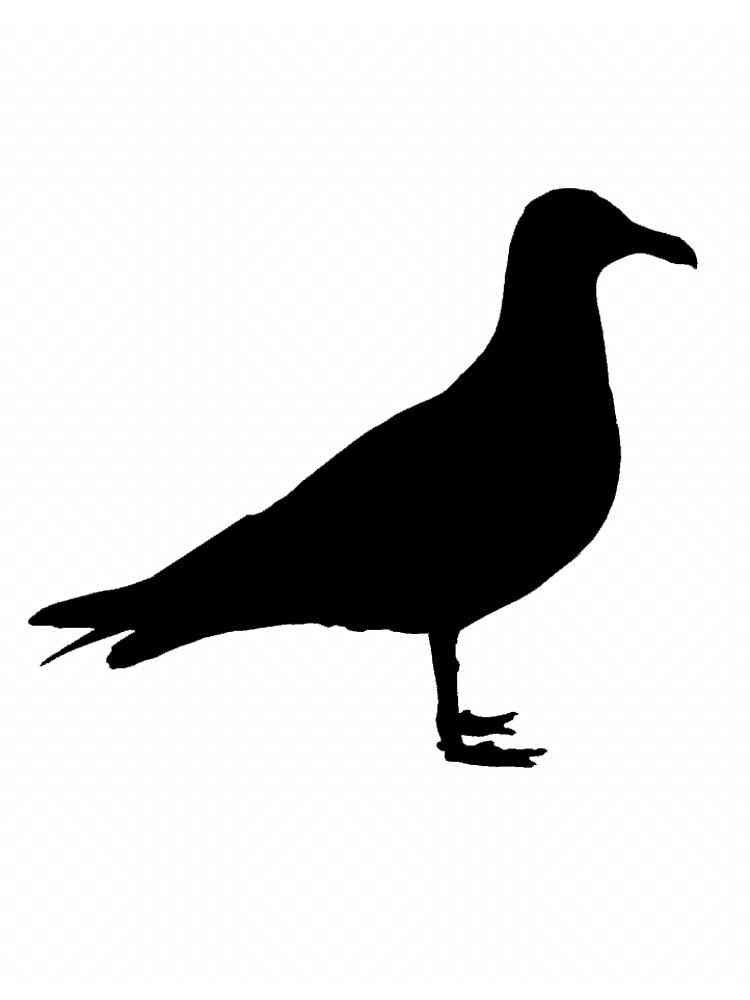 Трафареты чайки для раскрашивания