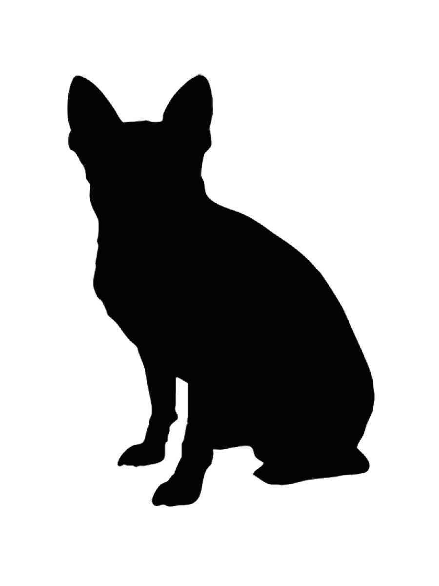 Трафареты чихуахуа рисунок для раскрашивания