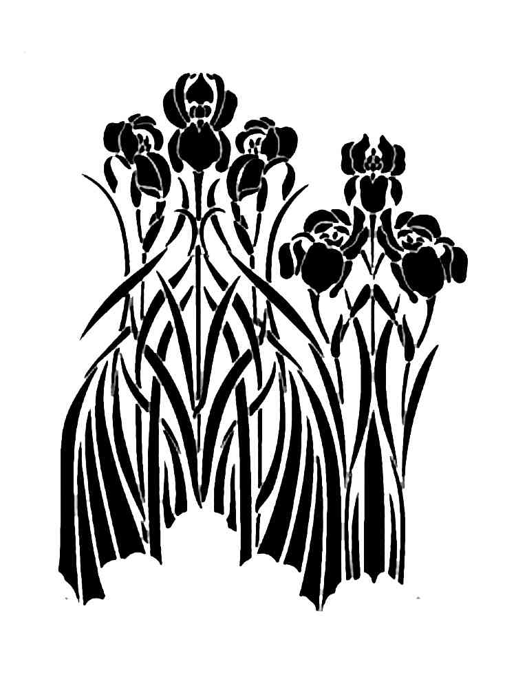 Трафареты ирисов картинка для раскрашивания