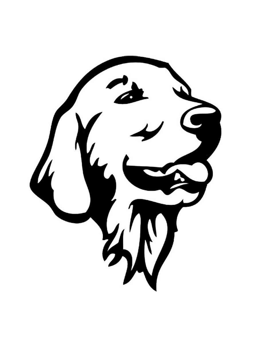 Трафареты лабрадора для раскрашивания 2