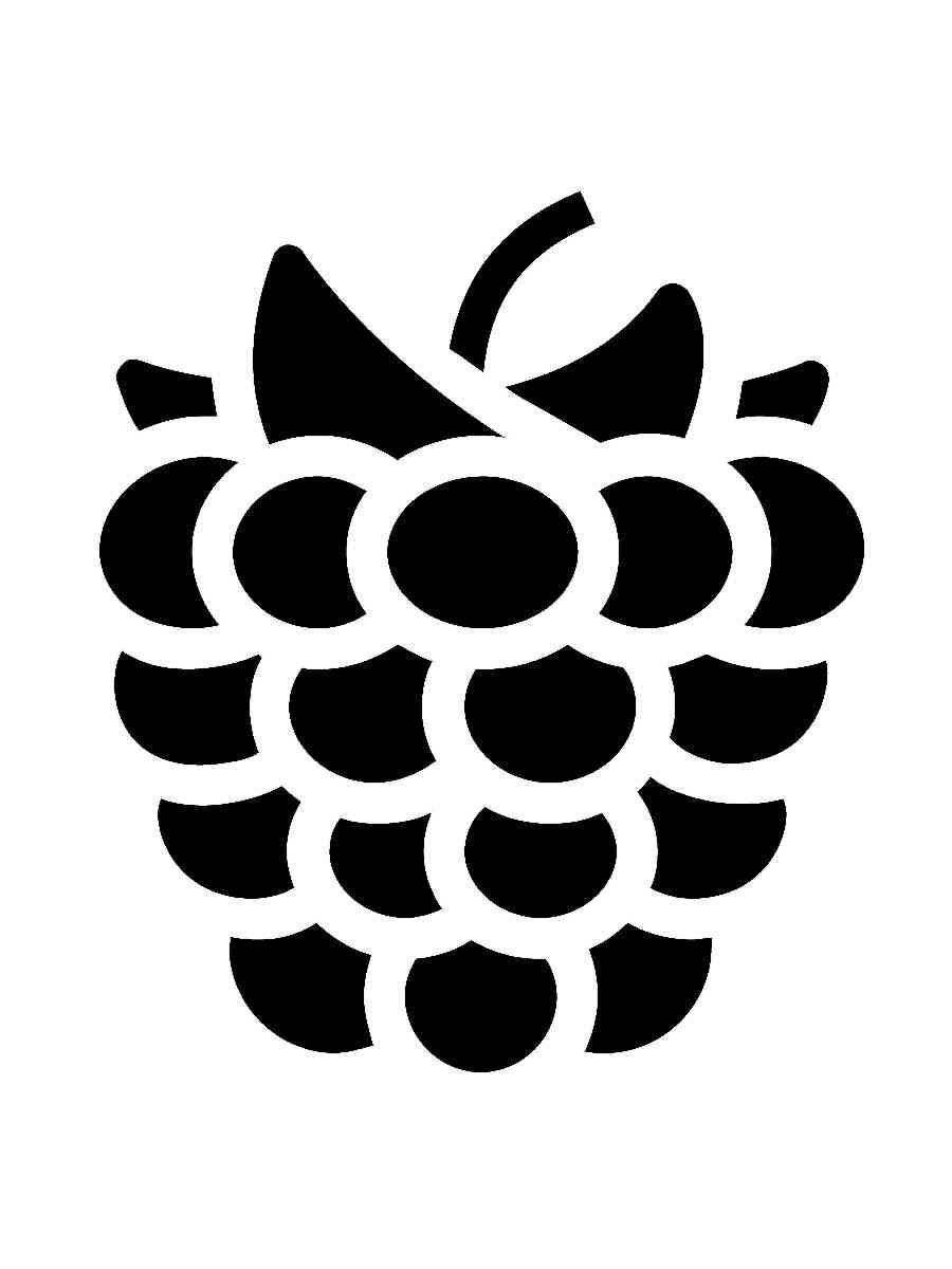 Трафареты малин черно-белая раскраска