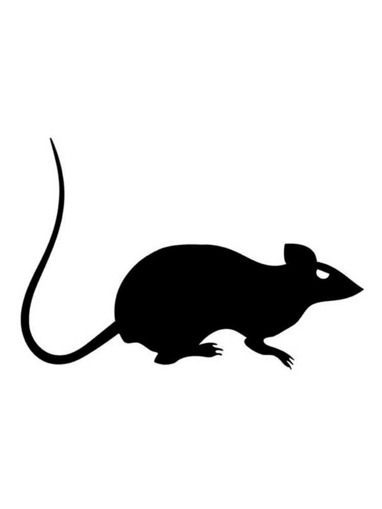 Трафареты мыши картинка для раскрашивания