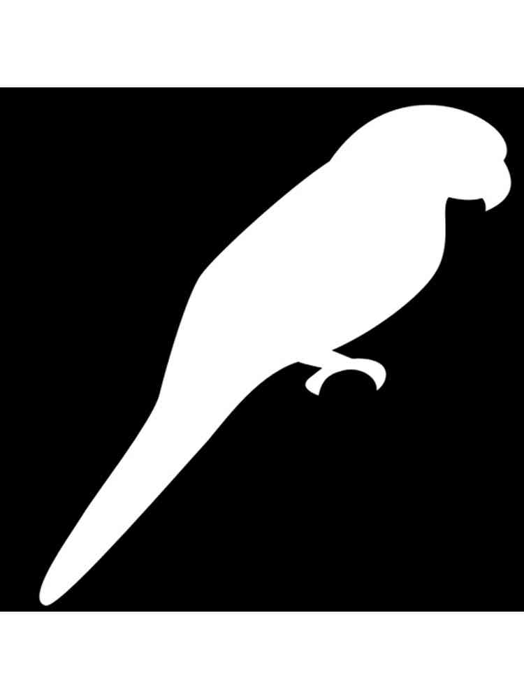 Трафареты попугая рисунок для раскрашивания