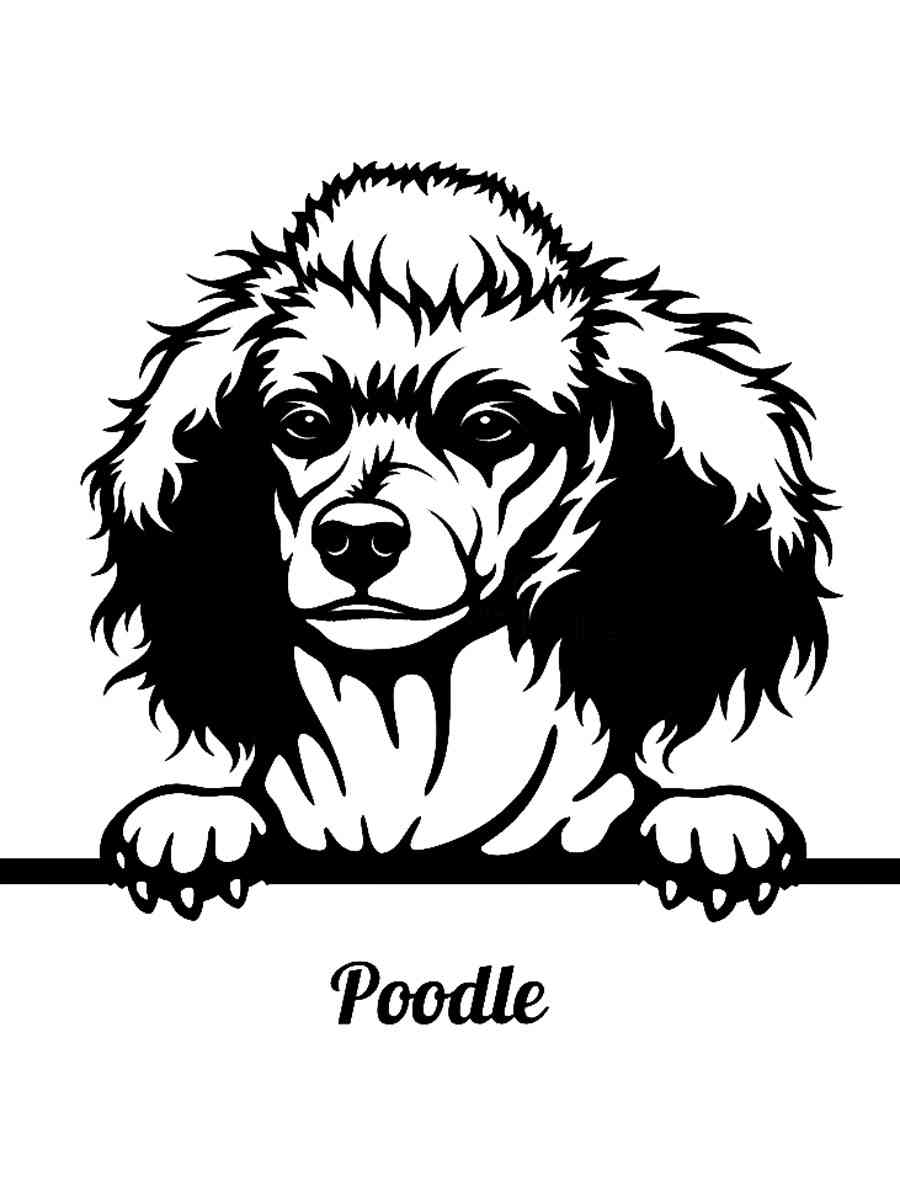 Трафареты пуделя для раскрашивания 2