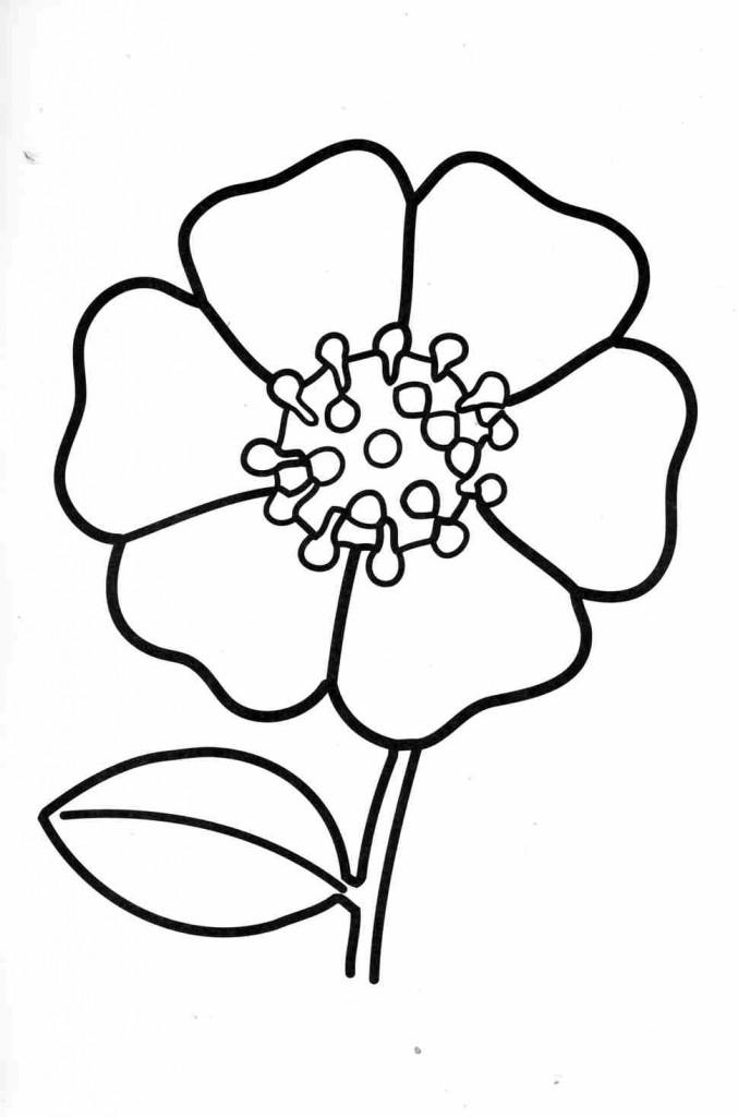 Цветок 2