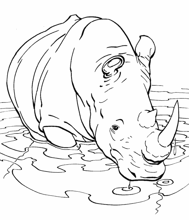 В воде