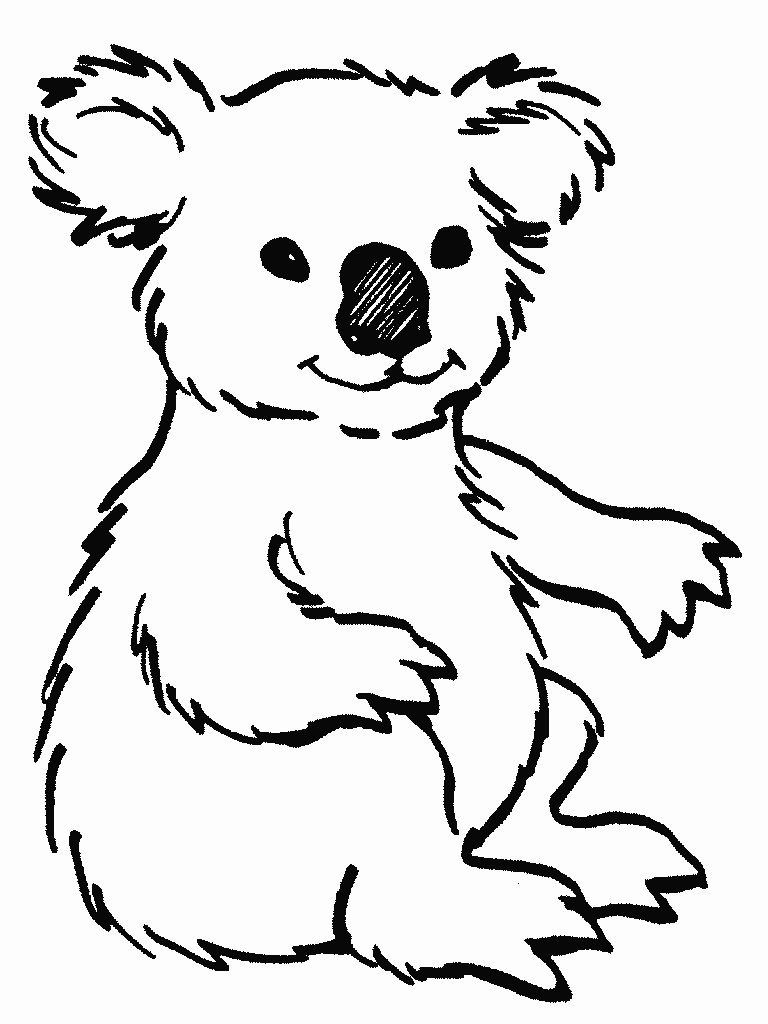 Веселая коала