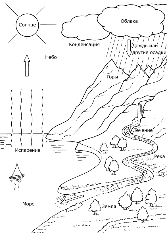 Водный круговорот