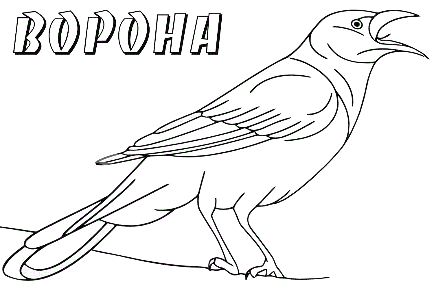 ворона 2