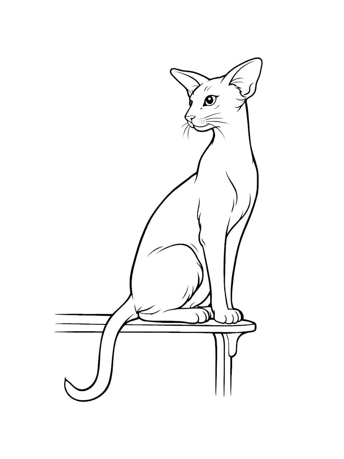 Восточно-короткошерстная кошка