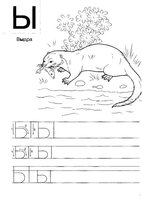 Выдра 2