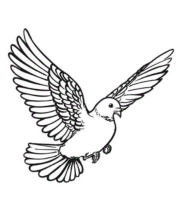 Взмах крыла 2