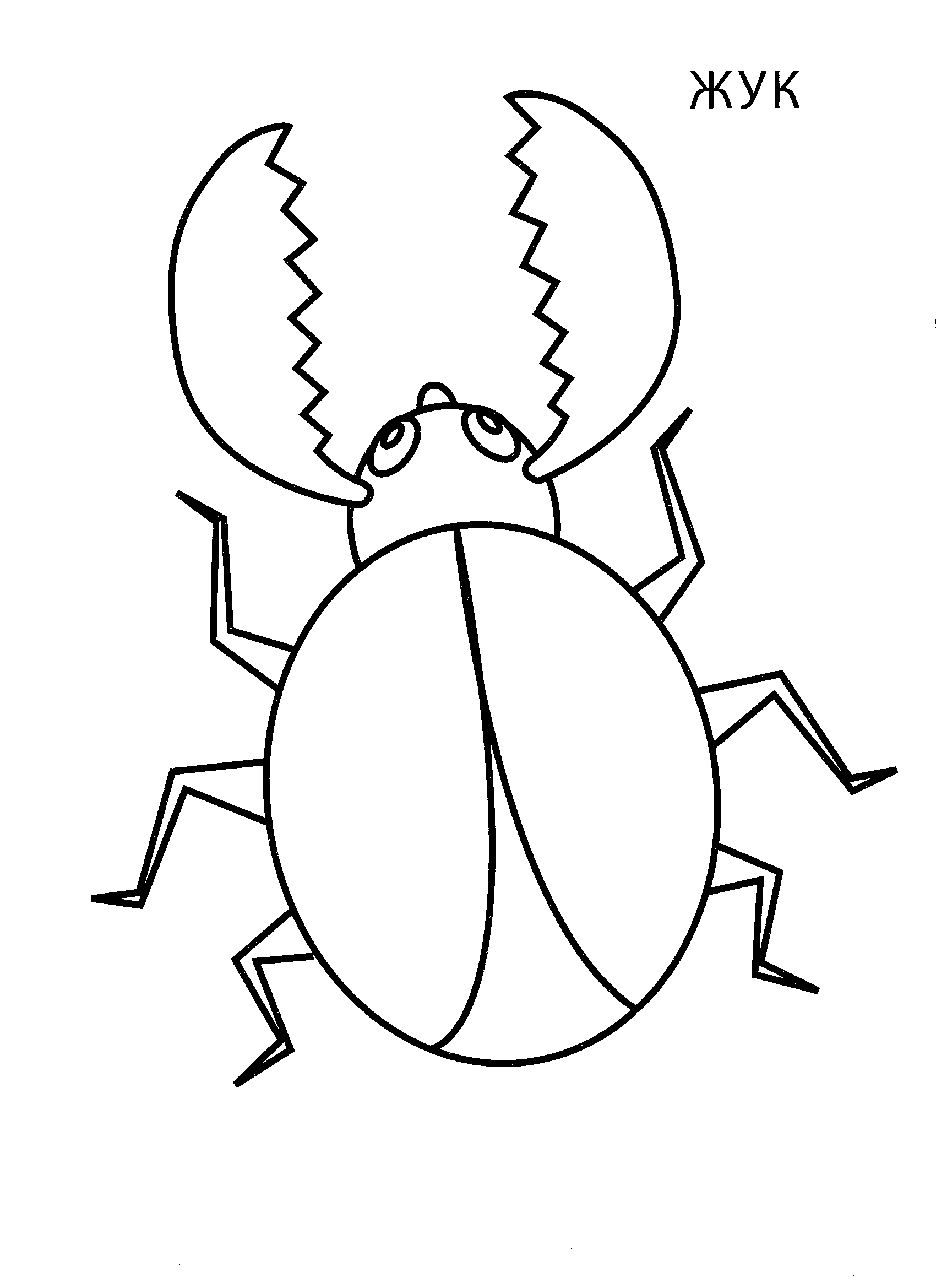 Жук 2