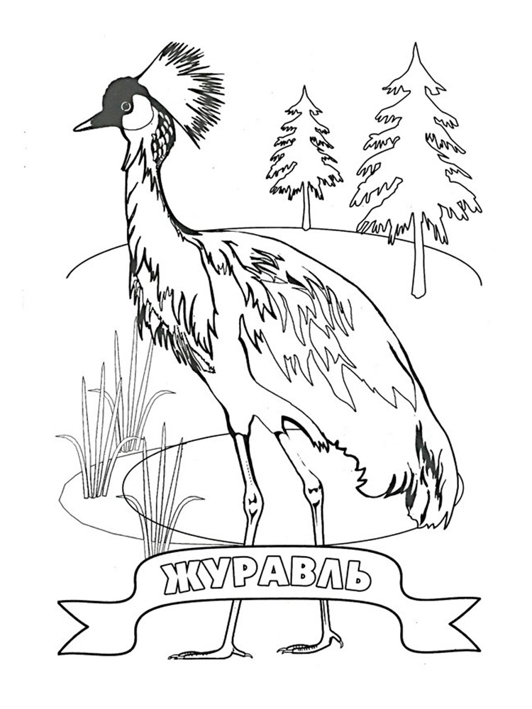 Журавль в лесу