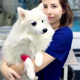 Фото Абилова Алина Игоревна